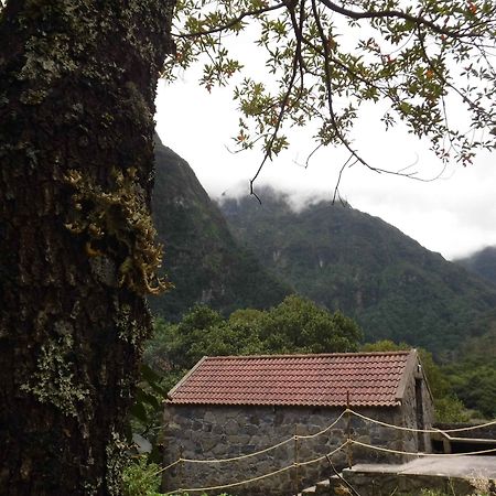 Nature Inn Madeira - Glamping Porto Moniz Bagian luar foto