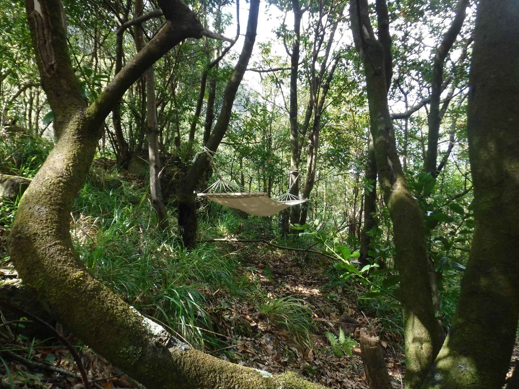 Nature Inn Madeira - Glamping Porto Moniz Bagian luar foto